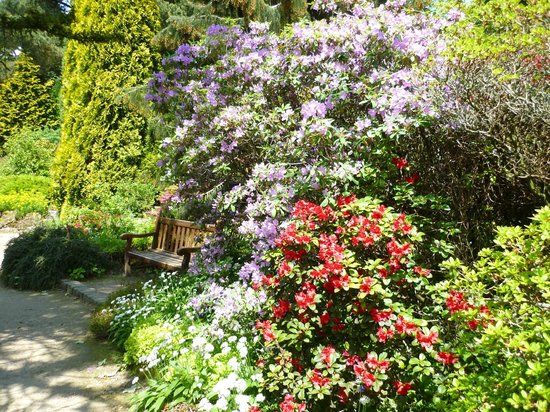 Giardino botanico Fletcher Moss